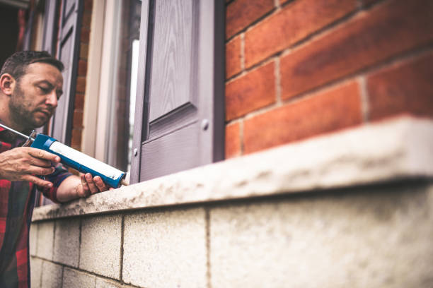 Best Spray Foam Insulation  in Isanti, MN